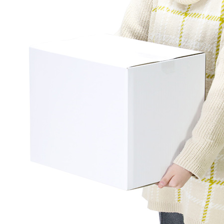 【宅配100サイズ】定番ダンボール箱(B4・白) まとめ買い-6