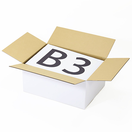 【宅配120サイズ】定番ダンボール箱(B3・白) まとめ買い-2