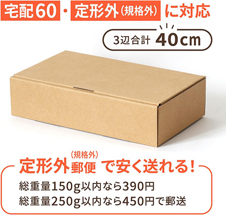 宅配伝票ピッタリ箱40サイズ ホワイト まとめ買い-5