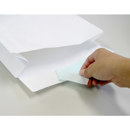 宅配袋(艶あり)【中】380×260×85-3