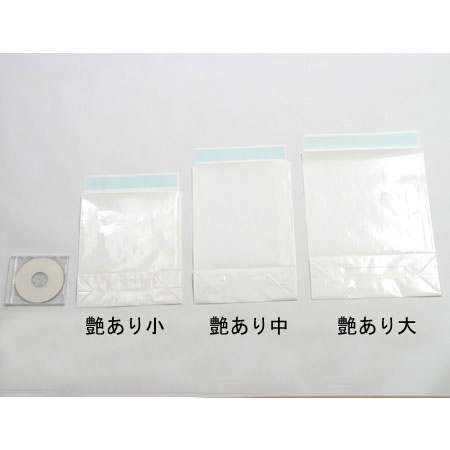 宅配袋(艶あり)【大】410×320×110-4