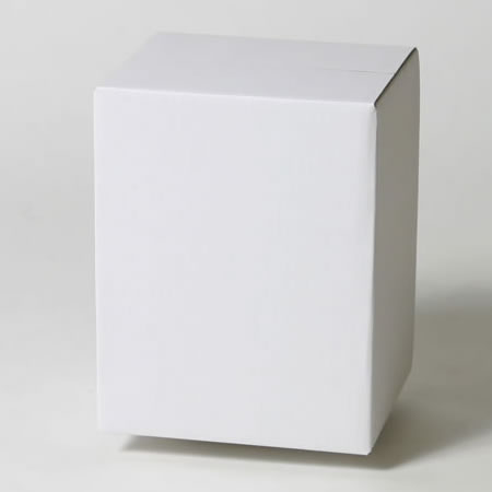 170×144×214(A-1式(みかん箱)※罫線付)(白)-2