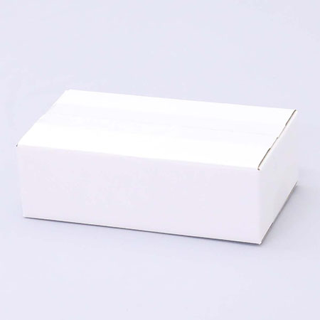 221×124×65(A式)(白)-2