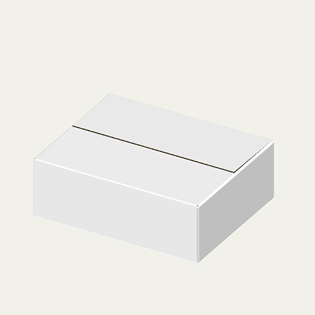 247×197×79(A式)(白)-2