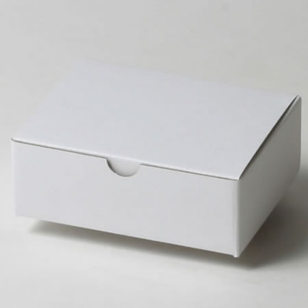 公式の店舗 Revell (箱未開封、封印):表箱に少し凹み:簡易梱包なら定形 