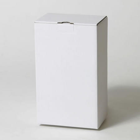 150×100×250(B式底組箱ロック付)(白)-2