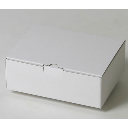 175×132×59(B式底組箱ロック付)(白)-2