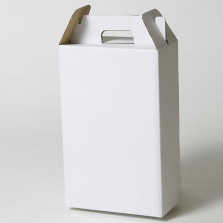 176×91×280(B式底組箱手提付)(白)-2