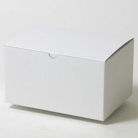 220×155×120(B式底組箱)(白)-2