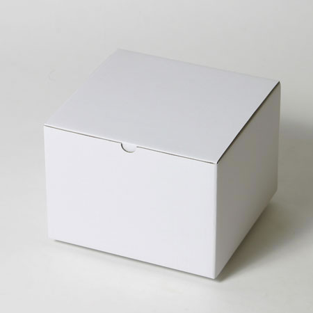 220×210×155(B式底組箱)(白)-2