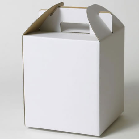 222×222×254(B式底組箱手提付)(白)-2