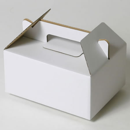 230×170×110(B式底組箱手提・底パッド付)(白)-2