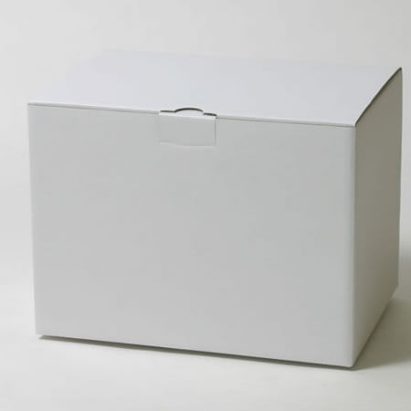 345×245×250(B式底組箱ロック付)(白)-2