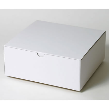 405×382×157(B式底組箱)(白)-2