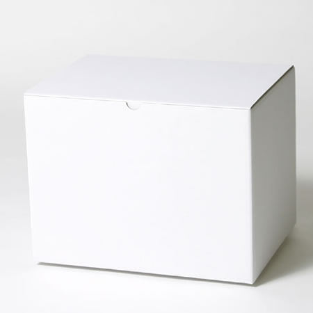 300×220×223(B式底組箱)(白)-2