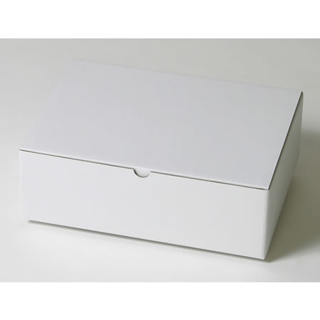 300×215×95(B式底組箱)(白)-2