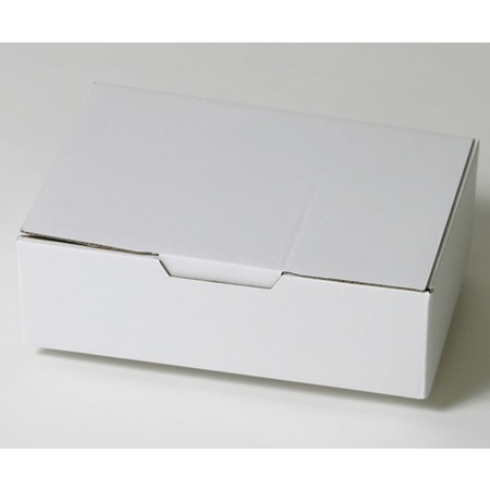 263×186×74(B式ワンタッチ)(白)-2