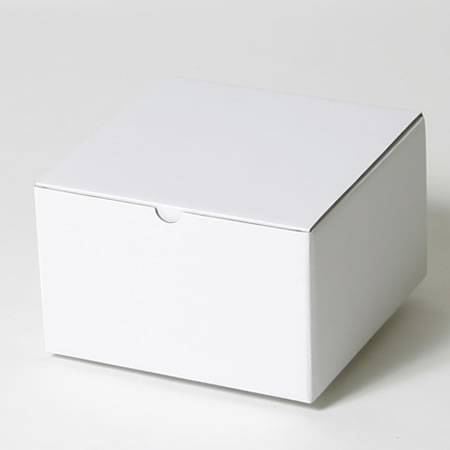 200×200×120(B式底組箱)(白)-2