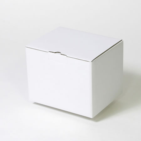 250×200×200(B式底組箱ロック付)(白)-2