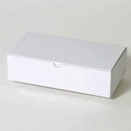 240×120×60(B式ワンタッチ)(白)-2