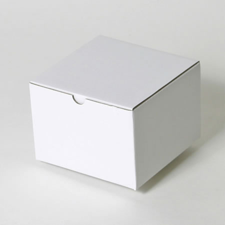 155×155×105(B式ワンタッチ)(白)-2