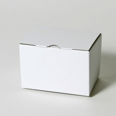 151×105×100(B式ワンタッチ)(白)-2