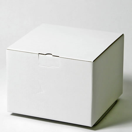 320×250×180(B式底組箱ロック付)(白)-2