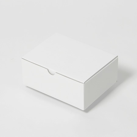 163×124×62(B式ワンタッチ)(白)-2