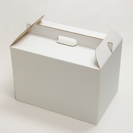 450×300×315(B式底組手提付き)(白)-2