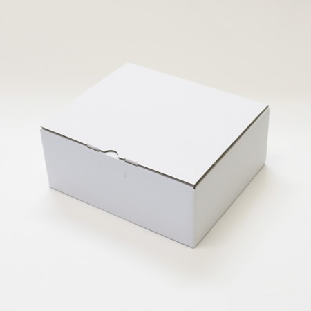 223×192×85(内蓋付B式底組箱)(白)-2