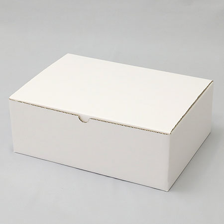 297×210×100(B式底組)(白)-2