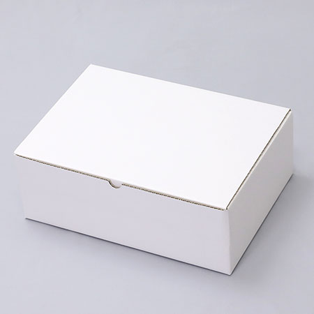 344×244×115(B式ワンタッチ)(白)-2