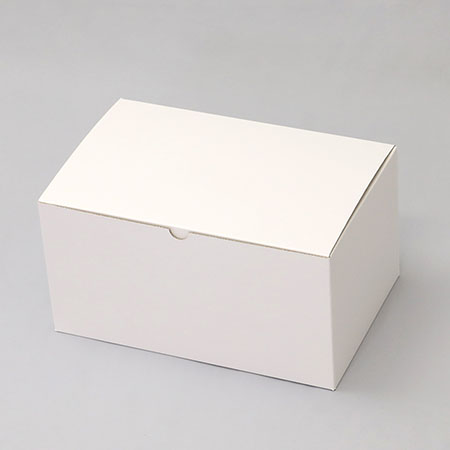 310×200×160(B式底組)(白)-2