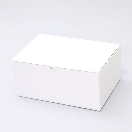 350×250×150(B式ワンタッチ)(白)-2