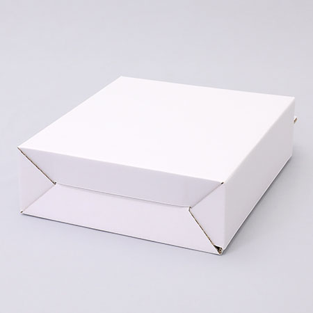 260×85×300(B式底組箱手提付)(白)-3