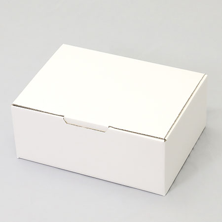 340×250×135(B式ワンタッチ)(白)-2