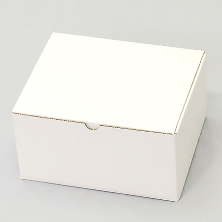 235×195×120(B式ワンタッチ)(白)-2