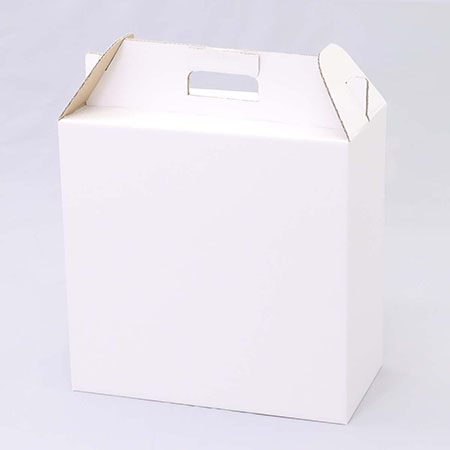 394×194×387(B式底組箱手提付)(白)-2