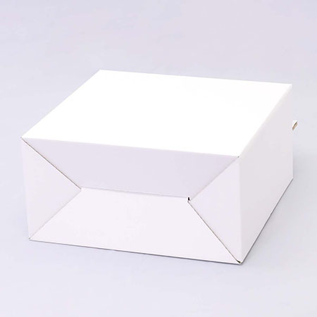 394×194×387(B式底組箱手提付)(白)-3