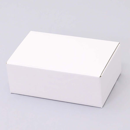 314×200×110(B式ワンタッチ)(白)-2