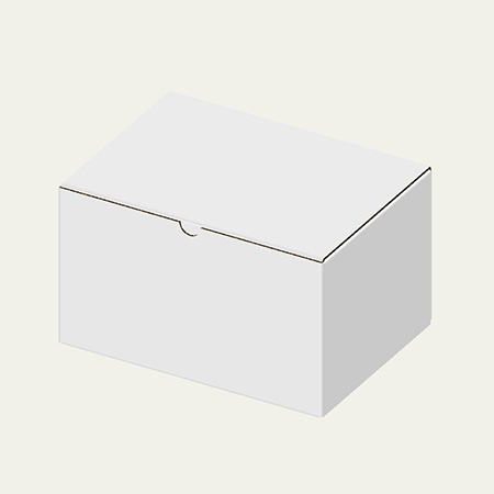 244×174×140(B式ワンタッチ)(白)-2