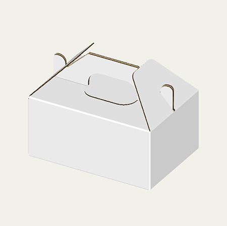 145×100×65(B式ワンタッチ手提付き)(白)-2