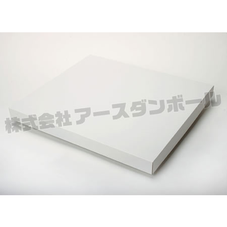 555×490×45(C式(蓋)(身)セット)(白)-2