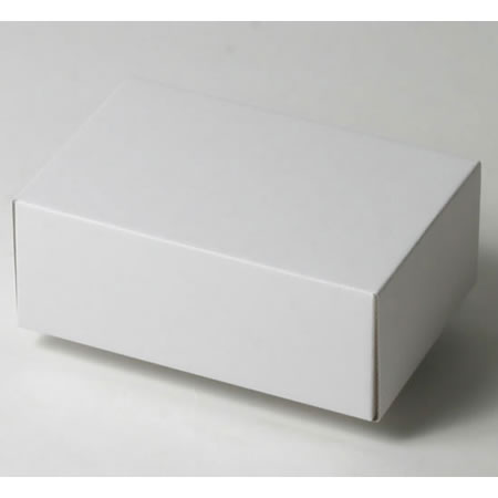 160×100×70(C式(蓋)(身)セット)(白)-2