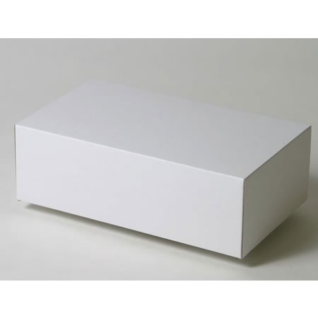 314×170×110(C式(蓋)(身)セット)(白)-2