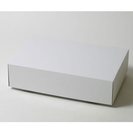 420×260×105(C式(蓋)(身)セット)(白)-2