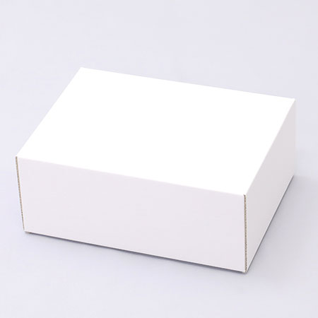 205×150×90(C式)(白)-2