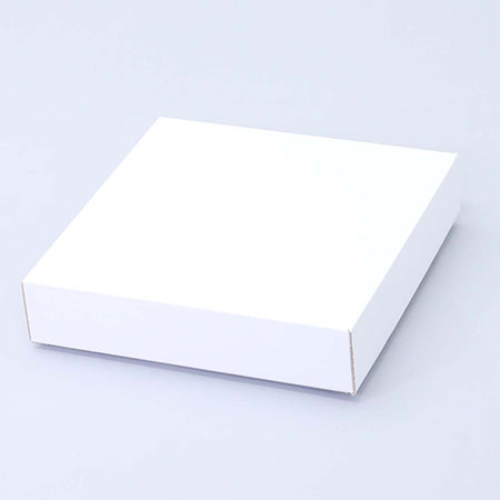 240×240×60(C式)(白)-2