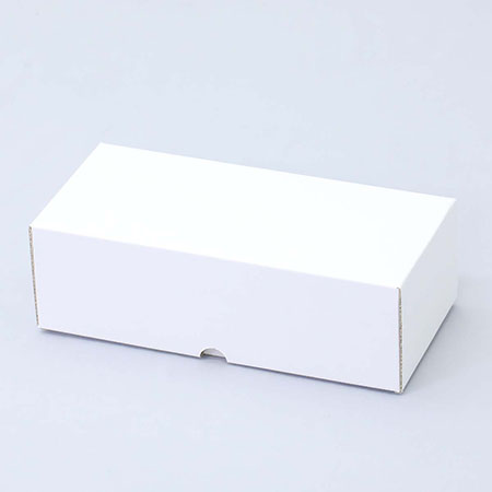 237×98×80(C式)(白)-2