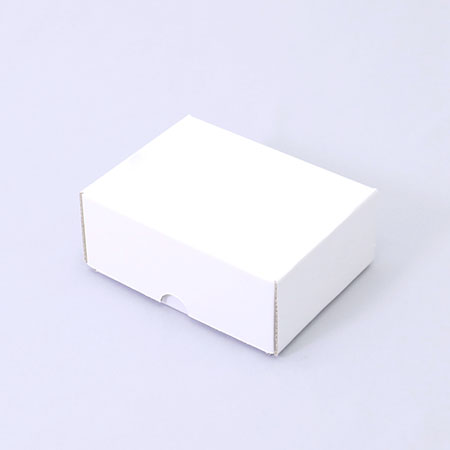 124×100×55(C式)(白)-2